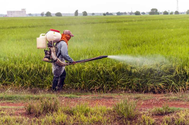 pesticides