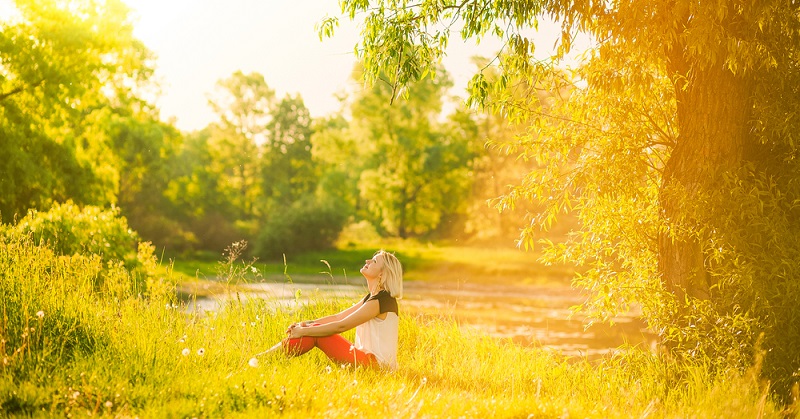 shutterstock_285287330