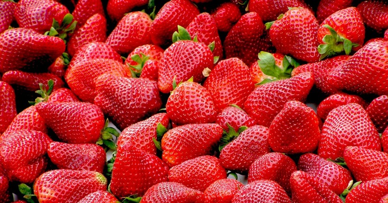 strawberries-99551_1280