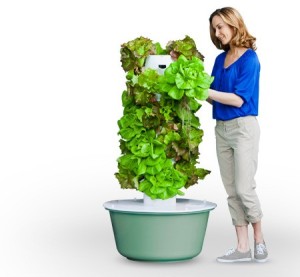 aquaponic tower garden