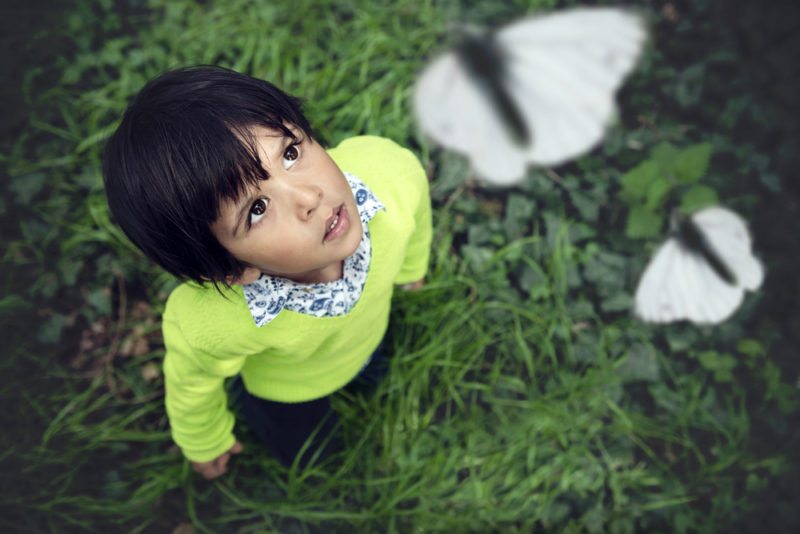 boy and butterflies