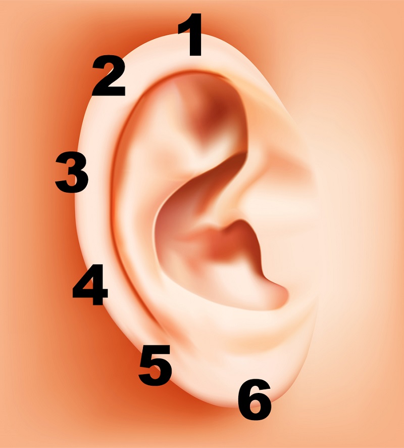 ear diagram