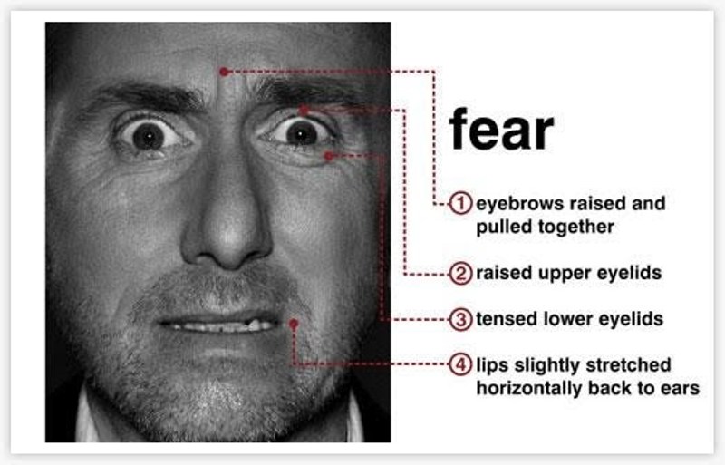 fear-microexpression