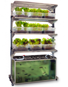 vertical-garden-235×300