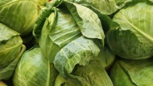 cabbage-1353192_1280-300×169