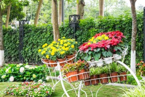 garden-721935_1280-300×200