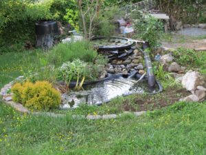 backyard pond