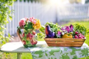 vegetable garden