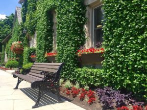 vertical garden 