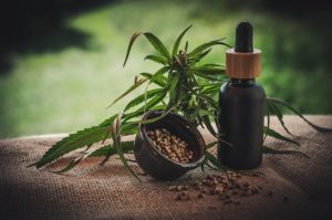 cbd-4474903_640-300×199