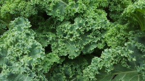 kale