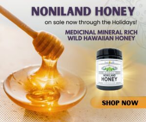 NoniLand-Honey_feature-300×251-1