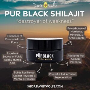 shilajit infograph