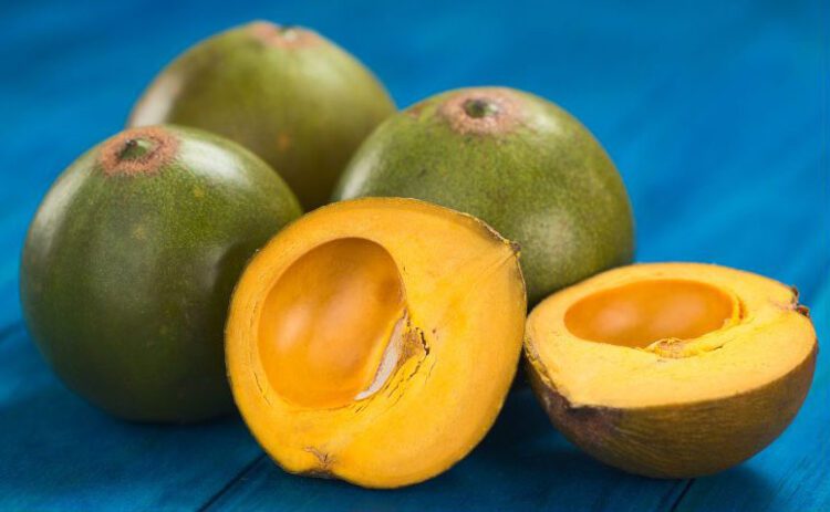 lucuma fruit color beauty